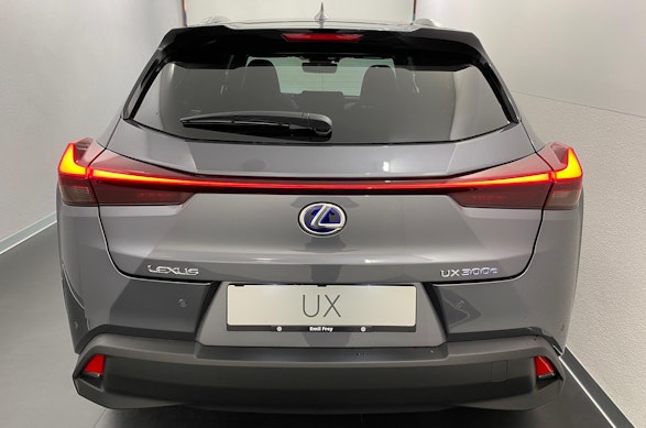 LEXUS UX 300e Excellence 10