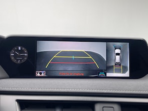 Vehicle image LEXUS UX 300e Excellence