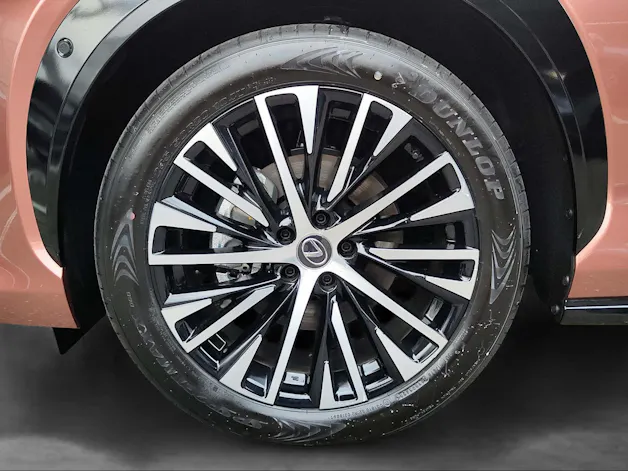 Lexus RZ 450e Excellence
