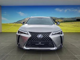 Lexus UX 300e Excellence elektrisch 54.3 kWh