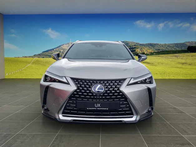 Lexus UX 300e Excellence elektrisch 54.3 kWh