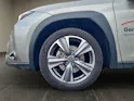 Lexus UX 300e Excellence elektrisch 54.3 kWh