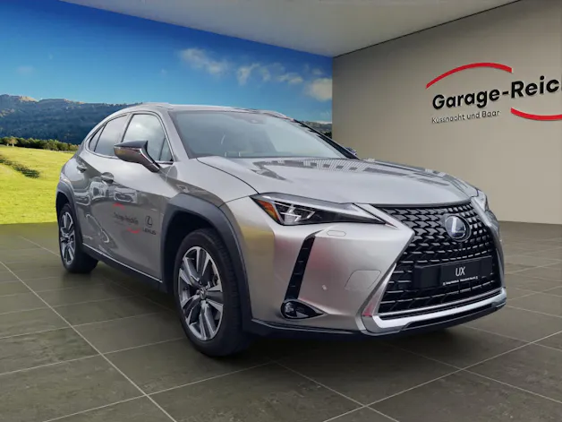 Lexus UX 300e Excellence elektrisch 54.3 kWh