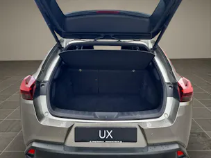Lexus UX 300e Excellence elektrisch 54.3 kWh