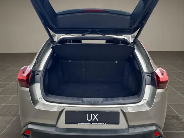 Lexus UX 300e Excellence elektrisch 54.3 kWh