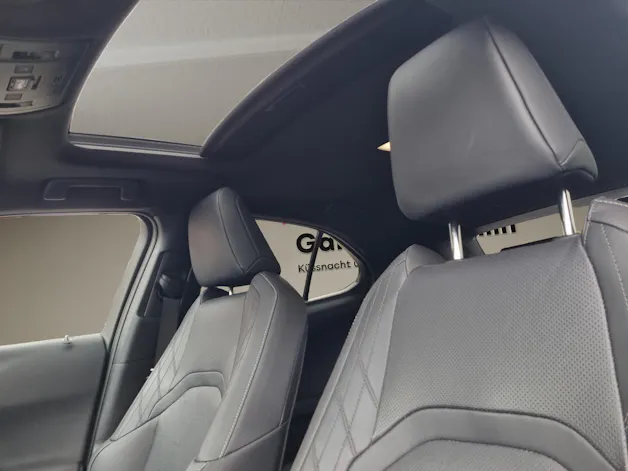 Lexus UX 300e Excellence elektrisch 54.3 kWh