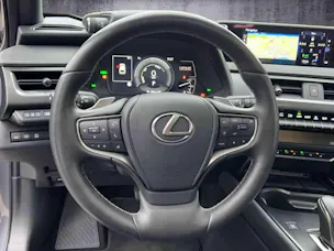 Lexus UX 300e Excellence elektrisch 54.3 kWh