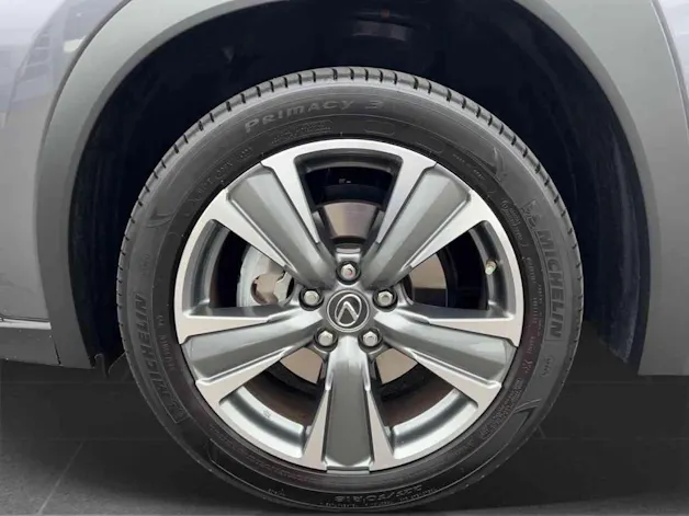 Lexus UX 300e Excellence elektrisch 54.3 kWh