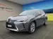 Lexus UX 300e Excellence elektrisch 54.3 kWh