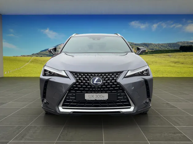 Lexus UX 300e Excellence elektrisch 54.3 kWh
