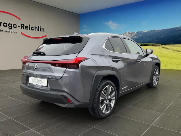 Lexus UX 300e Excellence elektrisch 54.3 kWh