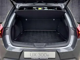 Lexus UX 300e Excellence elektrisch 54.3 kWh