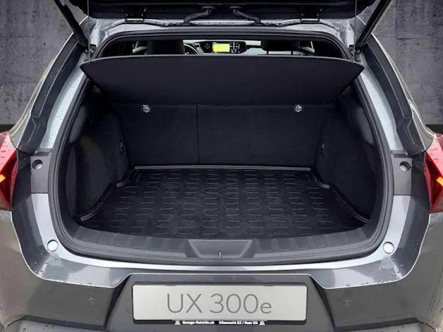 Lexus UX 300e Excellence elektrisch 54.3 kWh