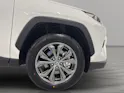 Toyota RAV4 2.5 HSD Trend