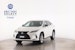 LEXUS RX 300 Special Edition