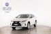 LEXUS RX 300 Special Edition