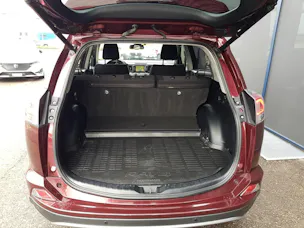Toyota RAV4 2.5 HSD Trend