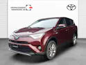 Toyota RAV4 2.5 HSD Trend