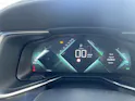DS Automobiles 9 1.6 E-Tense Rivoli+ 4x4