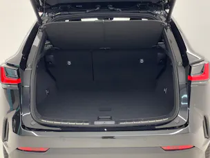 Lexus NX 350h F-Sport