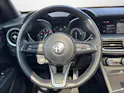 ALFA ROMEO Stelvio 2.0 Q4 TI Sky 20