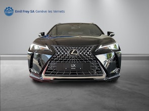Vehicle image LEXUS UX 300h Comfort