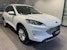 FORD Kuga 2.5 Hybrid Titanium 4x4