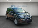 Fiat Panda 1.0 Hybrid Cult Plus