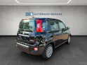 Fiat Panda 1.0 Hybrid Cult Plus
