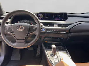 Lexus UX 300e Excellence 41582/001