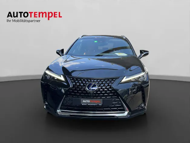 Lexus UX 300e Excellence 41582/001