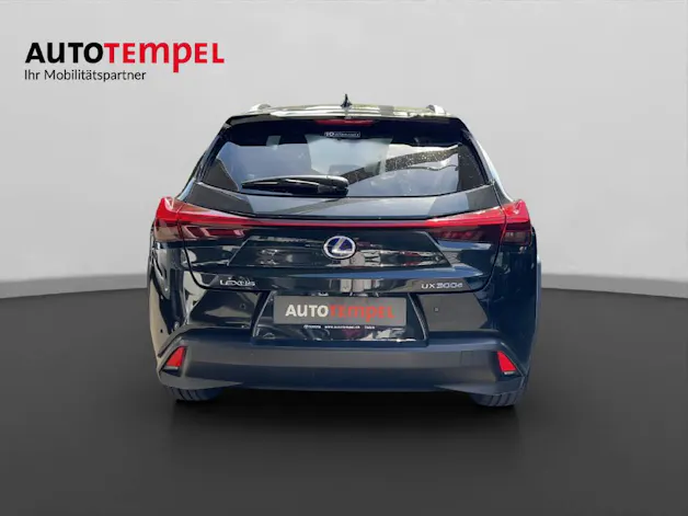 Lexus UX 300e Excellence 41582/001