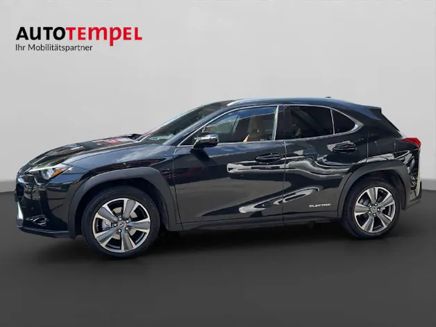 Lexus UX 300e Excellence 41582/001