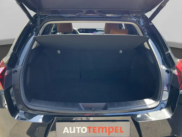Lexus UX 300e Excellence 41582/001
