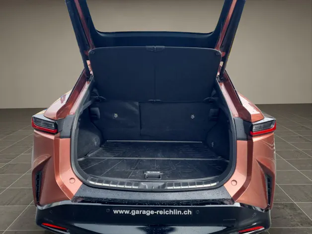 Lexus RZ 450e Excellence Direct4 elektrisch 71.4 kWh