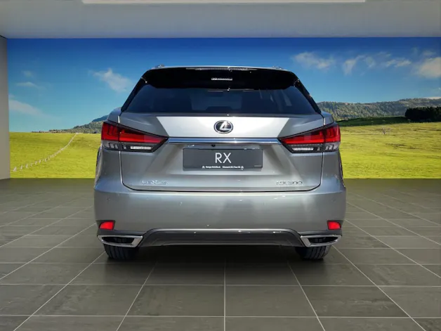 Lexus RX 300 AWD Special Edition