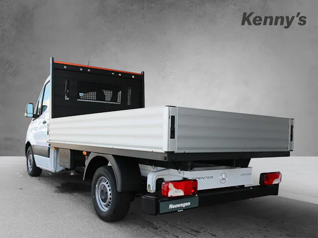 Mercedes-Benz Sprinter 315 CDI Pro CH 3665 S