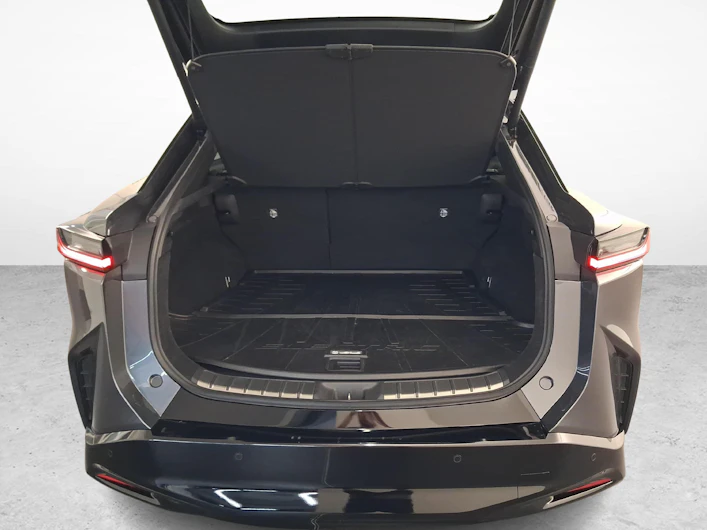 Fahrzeugbild LEXUS RZ