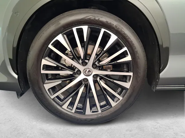 Lexus RZ 450e Excellence