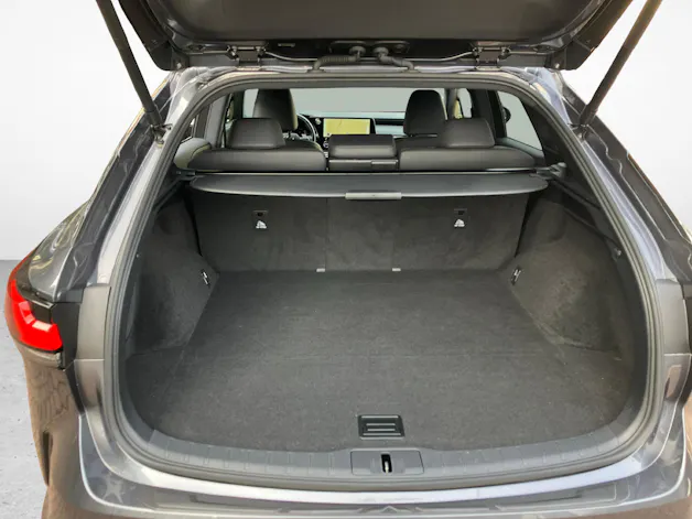 Lexus RX 350h F-Line