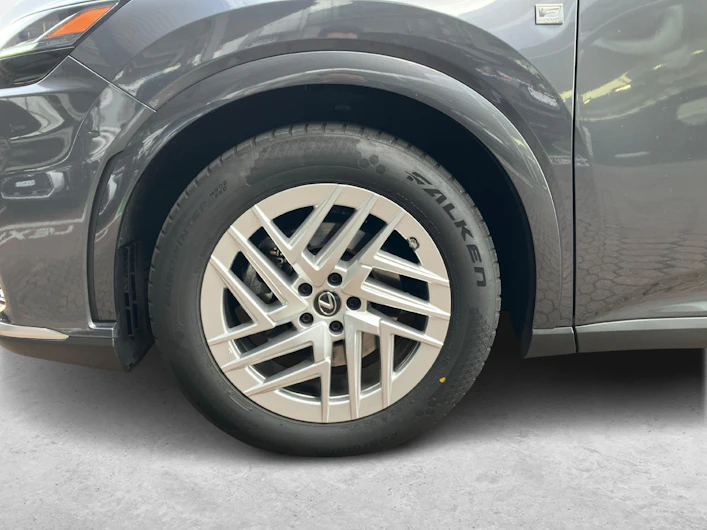 Fahrzeugbild LEXUS RX