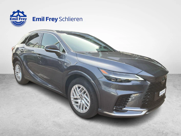 Fahrzeugbild LEXUS RX