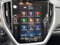 Subaru Crosstrek 2.0i e-Boxer Luxury Demowagen
