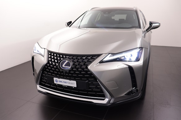 LEXUS UX 300e Excellence 0
