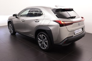 Vehicle image LEXUS UX 300e Excellence