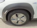 Hyundai Kona Electric Amplia