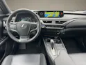 Lexus UX 300e Excellence elektrisch 54,3 kWh
