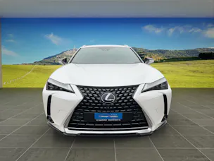 Lexus UX 300e Excellence elektrisch 54,3 kWh