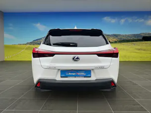 Lexus UX 300e Excellence elektrisch 54,3 kWh