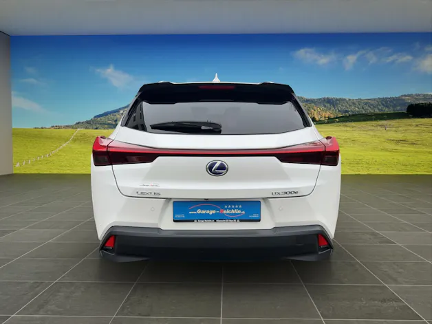 Lexus UX 300e Excellence elektrisch 54,3 kWh